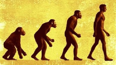 The stunning evolution of humankind in just 17 seconds