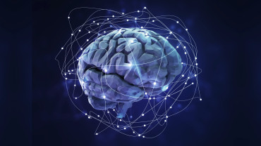 Human brains process language much like modern AI models