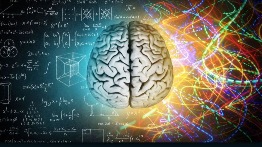 The bilingual brain: Translation as Adaptation